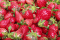Les petits fruits de Jef, fraises Darselect