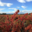 Château Nadal Hainault