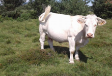 La Ferme D'arsa