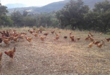 La Ferme D'arsa