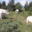 La Ferme D'arsa