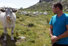 La Ferme D'arsa