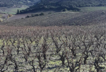 Domaine Lerys