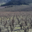 Domaine Lerys