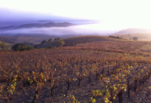 Domaine Lerys