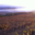 Domaine Lerys