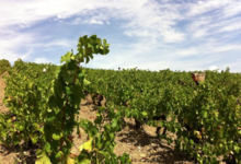 Domaine Lerys