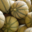 Le domaine des arbres blancs, melons
