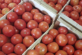 Saveurs des Pampas, tomates