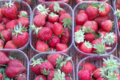Saveurs des Pampas, fraises