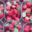 Saveurs des Pampas, fraises