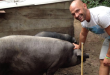 Thibault Gonzales Eleveur/Charcutier