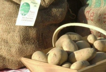 Le Dourmidou, pommes de terre de montagne
