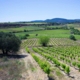Domaine Ribiera