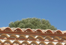 Domaine Ribiera