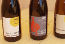 Domaine Ribiera, Causse toujours