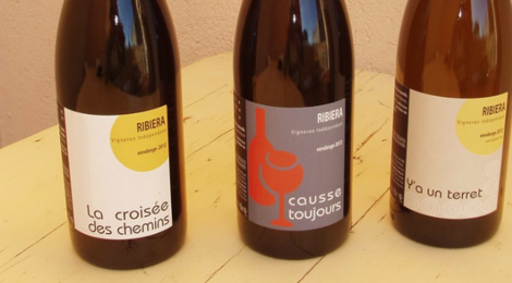 Domaine Ribiera, Causse toujours