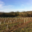 Domaine Le Bouscas