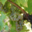 Domaine Le Bouscas