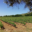 Domaine De Roquemale