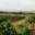 Domaine De Roquemale