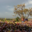 Domaine De Roquemale