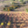 Domaine Gauby