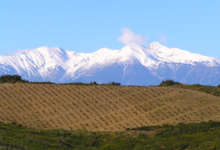 Domaine Gauby