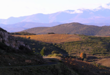Domaine Gauby