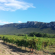 Domaine de l'Horizon