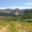 Domaine Bonzoms