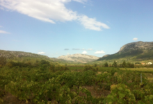 Domaine Bonzoms