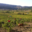 Domaine Bonzoms
