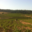 Domaine Bonzoms