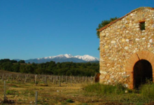 Domaine Mas den Founs
