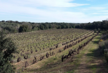 domaine de l'architecte