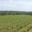domaine de l'architecte