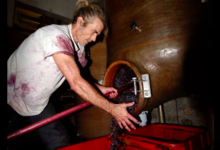 Domaine Potron Minet