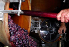 Domaine Potron Minet