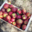 La Palette bio, pommes