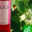 Mas Pujol, Domaine la Rourède, rosé