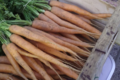 Les Jardins De Mélissa, carottes