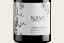 Domaine Haut-Gléon rouge