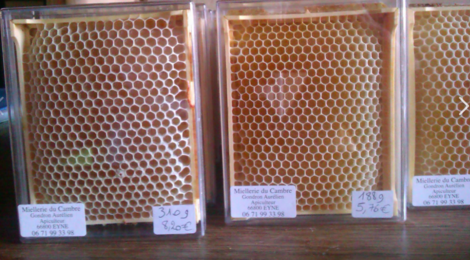 mielleuse des deux ruches, la bresque de tamaris