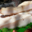 Charcuterie Catalane Bonzon, lard demi-sel