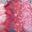 Charcuterie Catalane Bonzon, assortiment raclette