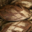 Boulangerie Le Couvent, pain montagnard