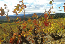 Domaine La Toupie