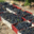 Domaine La Toupie