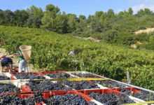 Domaine La Toupie